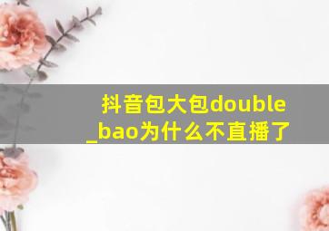 抖音包大包double _bao为什么不直播了